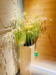 -禾美科技美肤·芳香疗愈SPA联合会所