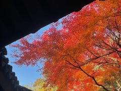 -blue frog蓝蛙(长泰广场店)