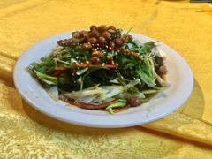-鸽王世家(东华东路店)