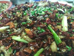 -东吴霸王兔(松青路店)