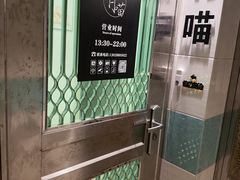 -有喵·猫咖·狗咖·30几只猫10只小狗(岗厦店)