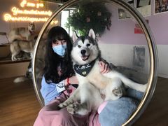 -Husky Go! 哈士奇体验馆·宠物咖啡厅狗咖