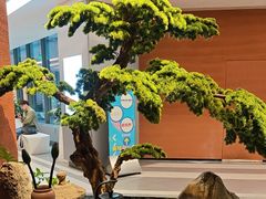 -许爷家·生态湖鲜(徐汇日月光店)