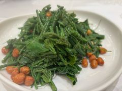 凉拌丝瓜尖-金三杯酒家(泉城路店)