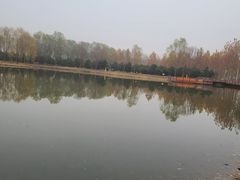 -东郊湿地公园