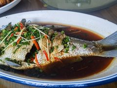 -芦茨金富饭庄·25年老字号·专做稻草鸡