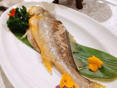-红棉中餐厅·广州海航威斯汀酒店