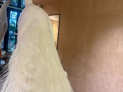 -桥边小楼·手工云南菜·古城观景小楼