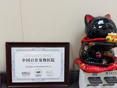 -美联众合爱康动物医院•复杂内科•肿瘤科•牙科•腔镜诊疗中心