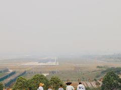 -空港花田景区