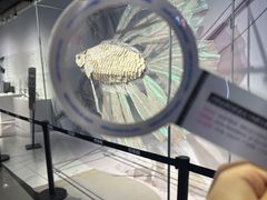 -天河体育中心