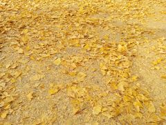 -辽东学院(南校区)