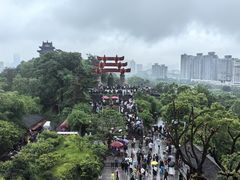 -黄鹤楼公园(黄鹤楼)