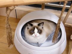 -唐小姐の私宠·宠物洗护美容·撸猫馆·购宠(周浦万达旗舰店)