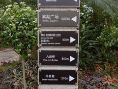 -南宁南湖公园