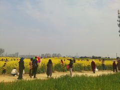 -三圣花乡旅游区