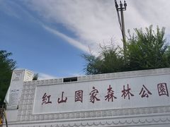 -红山国家森林公园