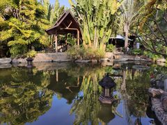 -厦门日月谷温泉渡假村