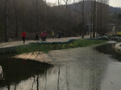 -白水寺森林公园