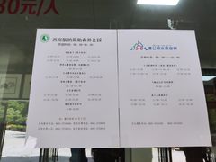 -西双版纳原始森林公园