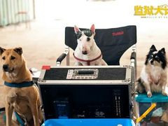 -汇金缪斯影城(八佰伴店)