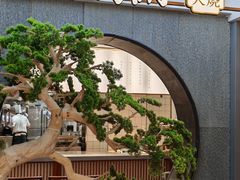 -高玛纳驴肉火烧(河间总店)