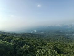 -紫金山山顶公园