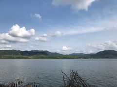 -河口景区