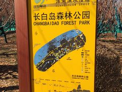 -长白岛森林公园