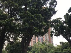-晓港公园