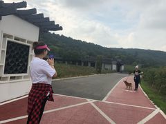 -龙寺生态园