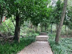 -杭州半山国家森林公园