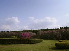 -秦始皇帝陵博物院-丽山园