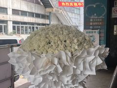 -双季花艺园艺市场(浦东店)