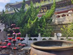 -潭柘寺景区