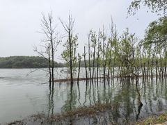-仙山湖景区