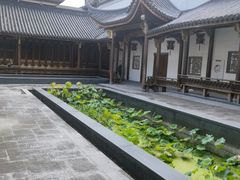 -龙天小镇