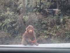 -西岭雪山大飞水景区