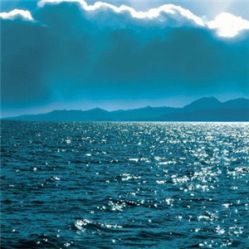 -薇兰专业脱毛连锁机构