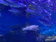 -华夏文旅西安度假区