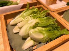 -十二舍·湯物素煮(江泰潤政店)