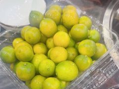 -鸽鸟轩(石岐店)