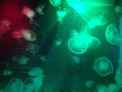 -洛阳龙门海洋馆