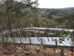 -牛鱼嘴原始生态风景区