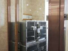 -宠爱国际动物医院· 猫科· 外科·中兽医(长白店)