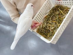 -Moni星球萌宠·小马宝莉·灵蛇·高端高阶全萌宠互动体验俱乐部(红豆国际广场店)