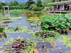 -国家植物园南园