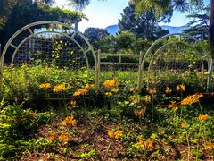 -国家植物园南园