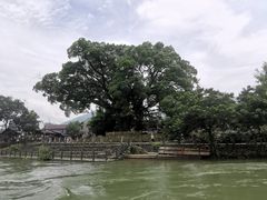 -香满阁小炒(古堰画乡景区店)