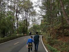 -神光山国家森林公园